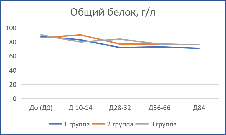 Динамика показателей общего белка кошек с диагнозом ИПК/FIP при терапии препаратом «Ипекон®»